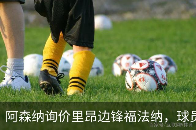 阿森纳询价里昂边锋福法纳，球员对加盟持开放态度